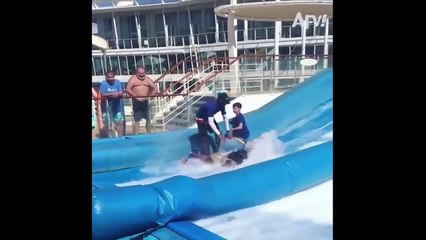 Collection of Funny Viral Videos: Hilarious Fails, Funny Moments, and More!