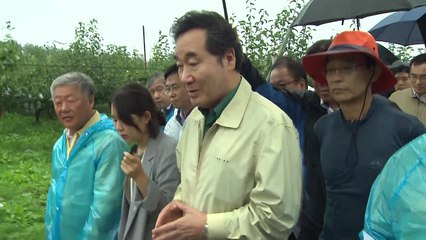 이낙연 총리 "재해보험금 50% 선지급 추진" / YTN
