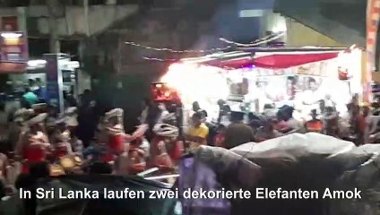 Aufgeregte Elefanten laufen Amok in Sri Lanka