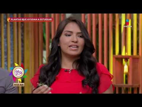 Consejos efectivos para cuidar tus plantas | Sale el Sol