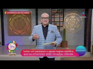Mario Vannucci: ¿Qué significa soñar con ratones? | Sale el Sol