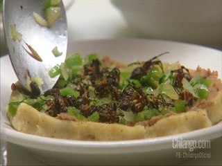 Tacos de Araña y Alacrán en la Ciudad de México