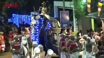 Video Captures Elephant Rampaging Through Streets Causing Mass Chaos During Sri Lankan Festival