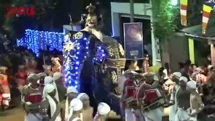 Video Captures Elephant Rampaging Through Streets Causing Mass Chaos During Sri Lankan Festival