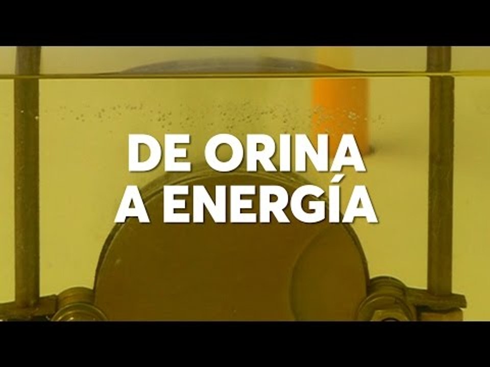 De orina a energía.