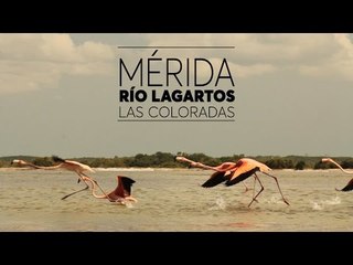 Río Lagartos #DeViaje