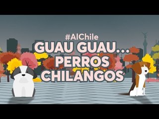 Guau guau… perros chilangos #AlChile