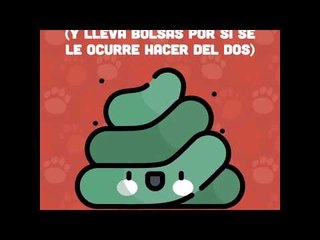 ¿Cómo debo pasear a mi perro? #AlChile