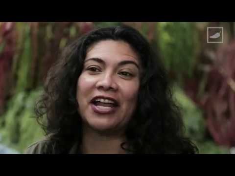 Mujeres NoMo: la primera generación de chilangas que no serán mamás