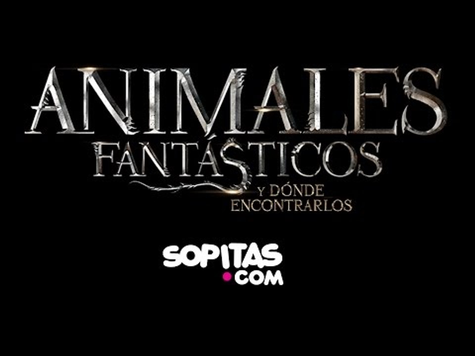 En Exclusiva: Katherine Waterston y Eddie Redmayne nos platican más sobre Animales Fantásticos