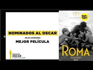 Rumbo al Oscar 2019 - Nominados a Mejor Película