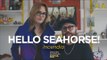 Hello Seahorse! en las Sesiones Acústicas de Sopitas