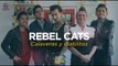 Rebel Cats - Sesión Acústica 'Calaveras y Diablitos'