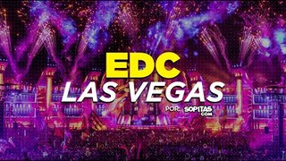 Así se vive el EDC Las Vegas - Entrevista con Armin van Buuren