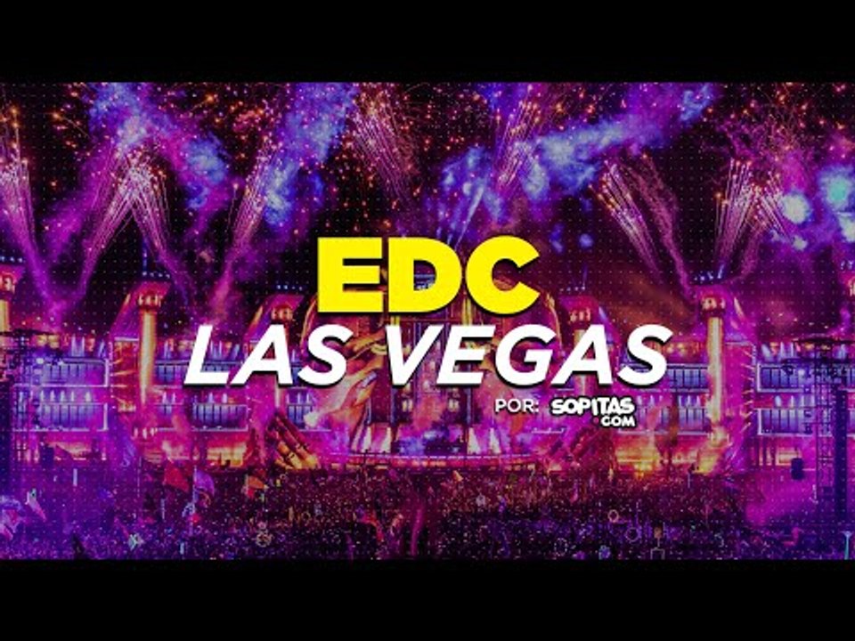Así se vive el EDC Las Vegas - Entrevista con Armin van Buuren