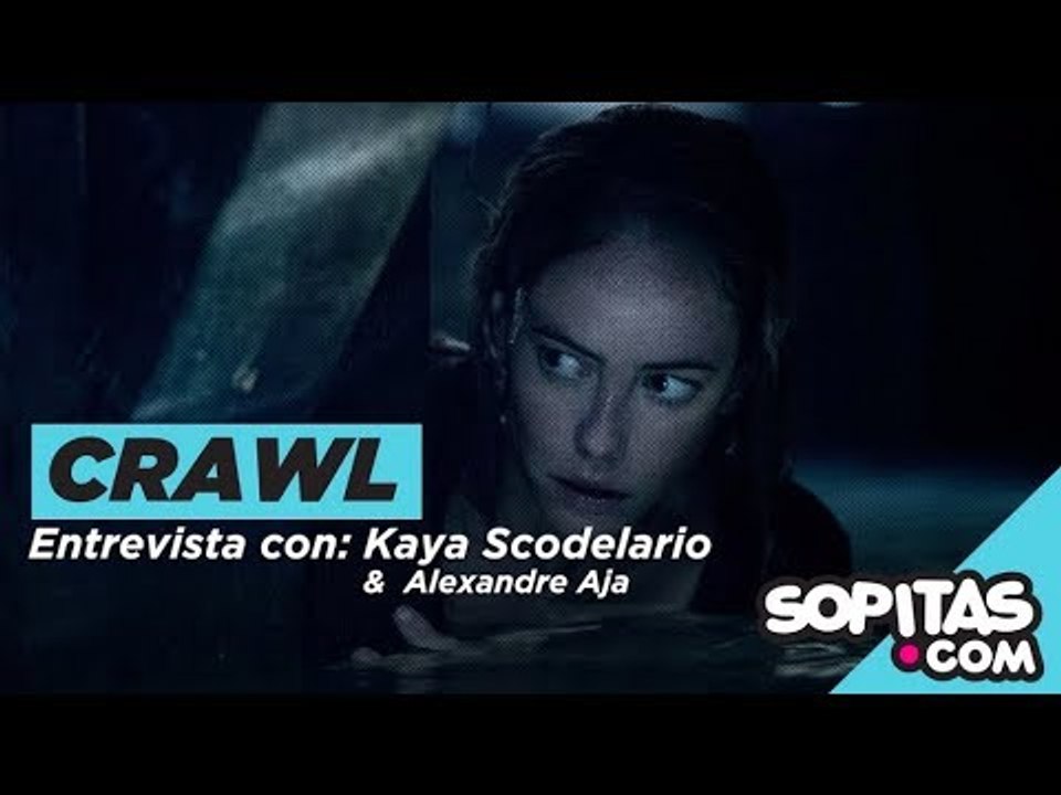 'Crawl' - un homenaje a 'Jaws' y una buena película de suspenso
