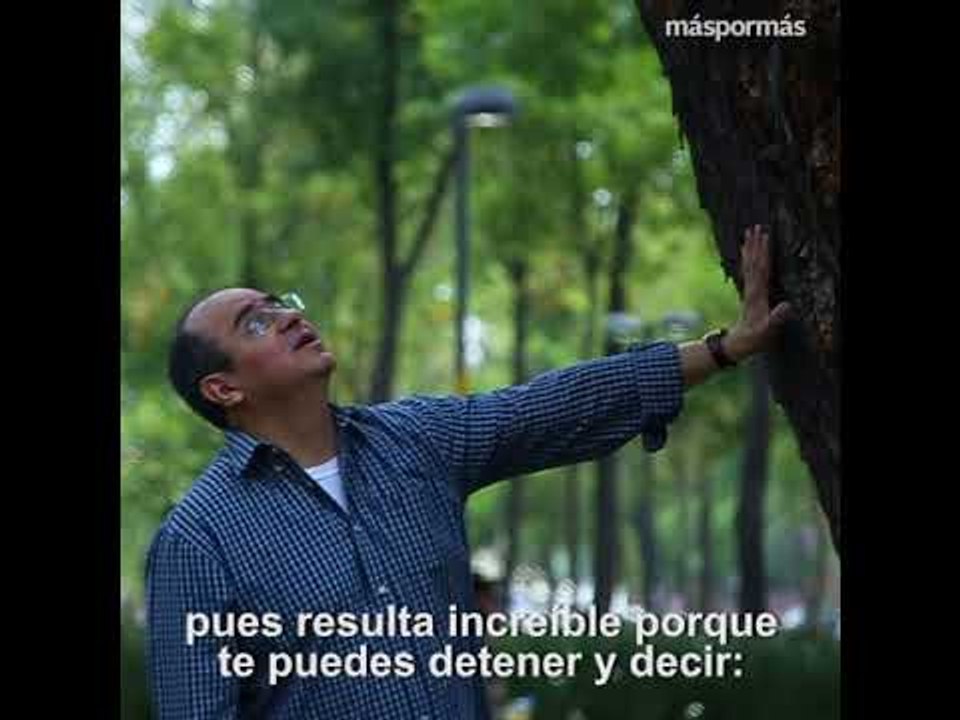 Banquetas que curan: Miguel Flores Hidalgo