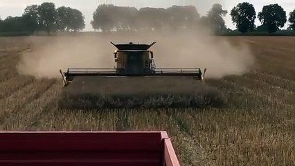 Il ne lui reste plus que quelques mètres à  moissonner quand l’impensable se produit