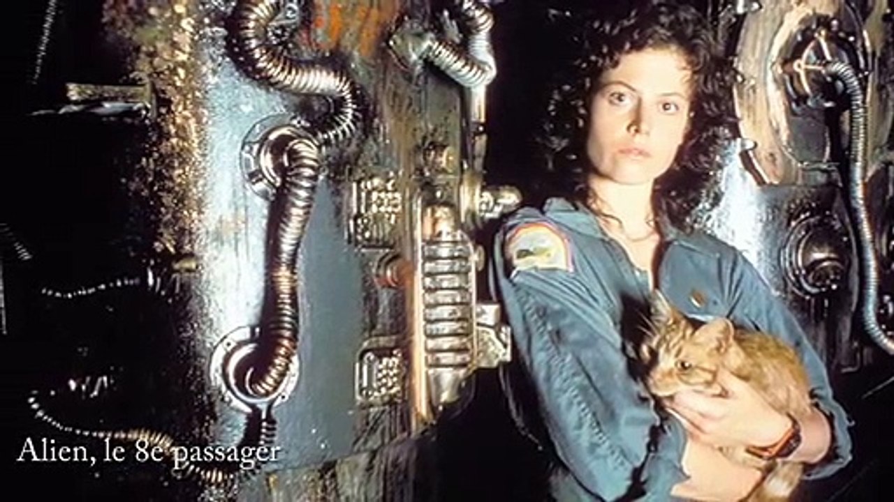 Le retour de Ciné-Cycles : « une façon de militer pour un cinéma de qualité au centre-ville »