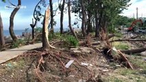 Locals clear debris and repair damage from Typhoon Faxai in Japan