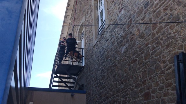 Saint-Malo. Challenge canin de la zone ouest organisé par la DDSP35