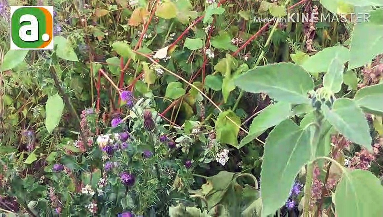 Gouvernement wallon agriculture