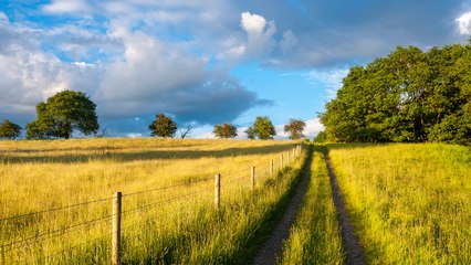 Living in the Country Puts You at a Lower Risk for Developing Dementia