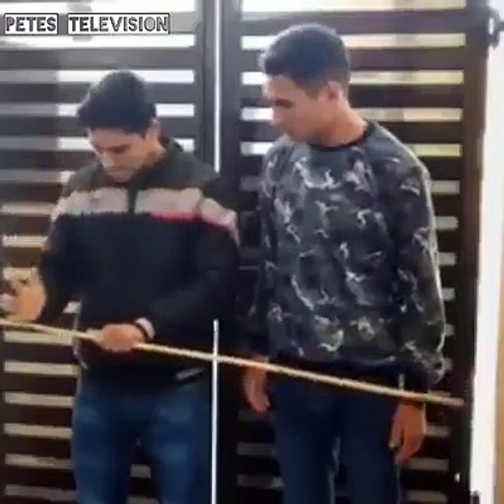 Funny daft pair with stick