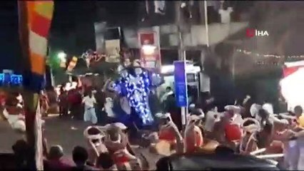 Sri Lanka’da fil kalabalığa daldı: 17 yaralı