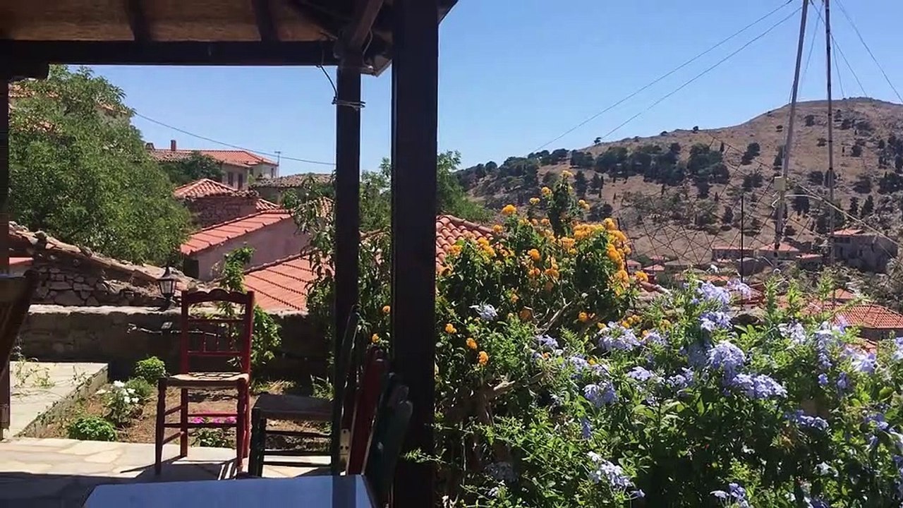 !!! Club Vinis - Lemnos  2019 !!!