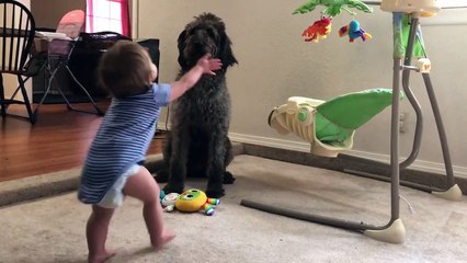 Pooch Teaches Toddler to Sit