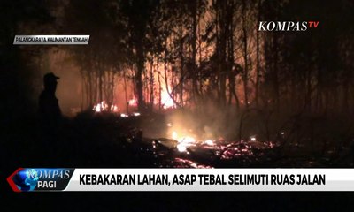 Kebakaran Lahan, Asap Tebal Selimuti Ruas Jalan