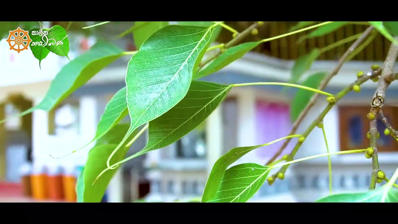 Kalina Kavibana - Rakagamu Sambudhdha Shasanaya