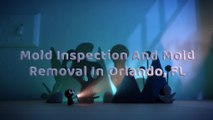 Mold Inspection & Mold Removal Orlando FL | Call (321) 204-0686