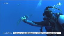 Plongée sous-marine : la sécurité avant tout
