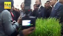 马哈迪：稻农应合併稻田  大规模种植脱贫