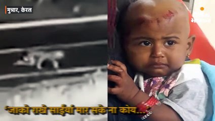 चलती जीप में सोती हुई मां के हाथ से छूटकर गिरी बच्ची, वन विभाग की मदद से दोबारा मिली