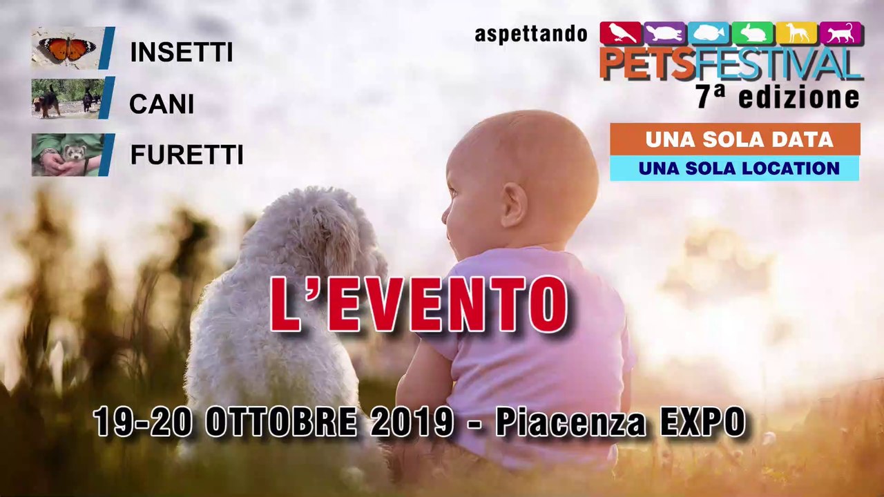 Aspettando PetsFestival 2019 - Puntata 2