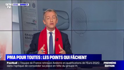 PMA pour toutes: quels sont les points qui fâchent?