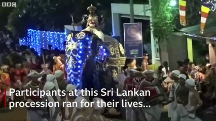 Sri-Lanka: Découvrez les images impressionnantes d'un éléphant qui devient fou et qui fonce dans la foule lors d'une parade