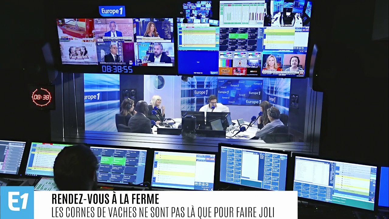 Touche pas à mes cornes !