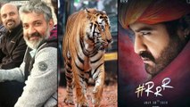 RRR Movie Update : Jr NTR Fight With Real Tiger