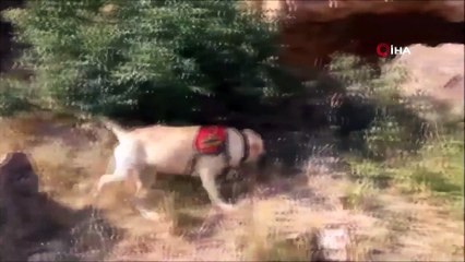 Van'da PKK'ya ait 3 sığınak imha edildi