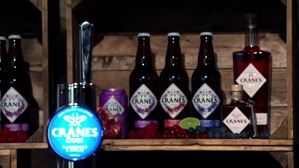 Dragons Den Uk S17E05