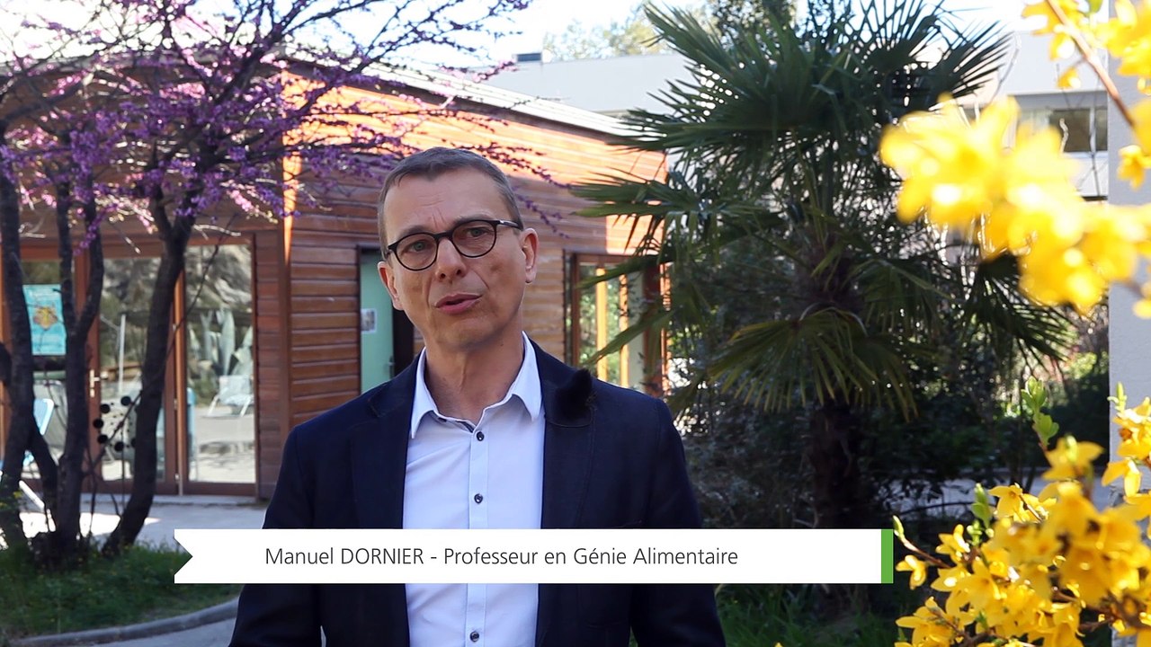 Ingénieur des systèmes agricoles et agroalimentaires durables au sud (SAADS) - option industries agro-alimentaires au sud (IAAS)