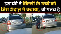 Car के नीचे आया Cat का बच्चा, इस शख्स ने क्या गजब अंदाज में बचाया, देखें Video | वनइंडिया हिंदी