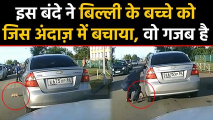 Car के नीचे आया Cat का बच्चा, इस शख्स ने क्या गजब अंदाज में बचाया, देखें Video | वनइंडिया हिंदी