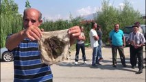 RTV Ora - Në çezma na vjen baltë, banorët e dy fshatrave protestë për ujin e pijshëm