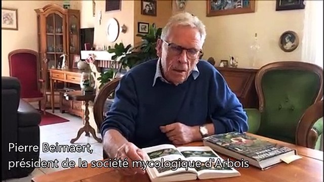 Arbois: le président de la société mycologique alerte sur le ramassage intensif de lactaires