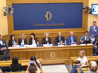 Roma - Conferenza stampa di Celeste D’Arrando (10.09.19)